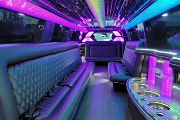 Aurora Limo Interior