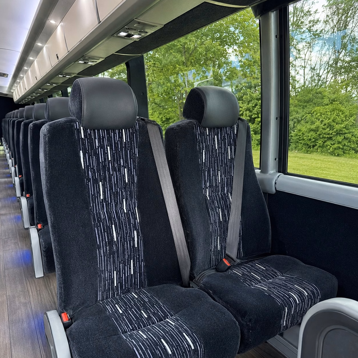 compare buses in minutes not days