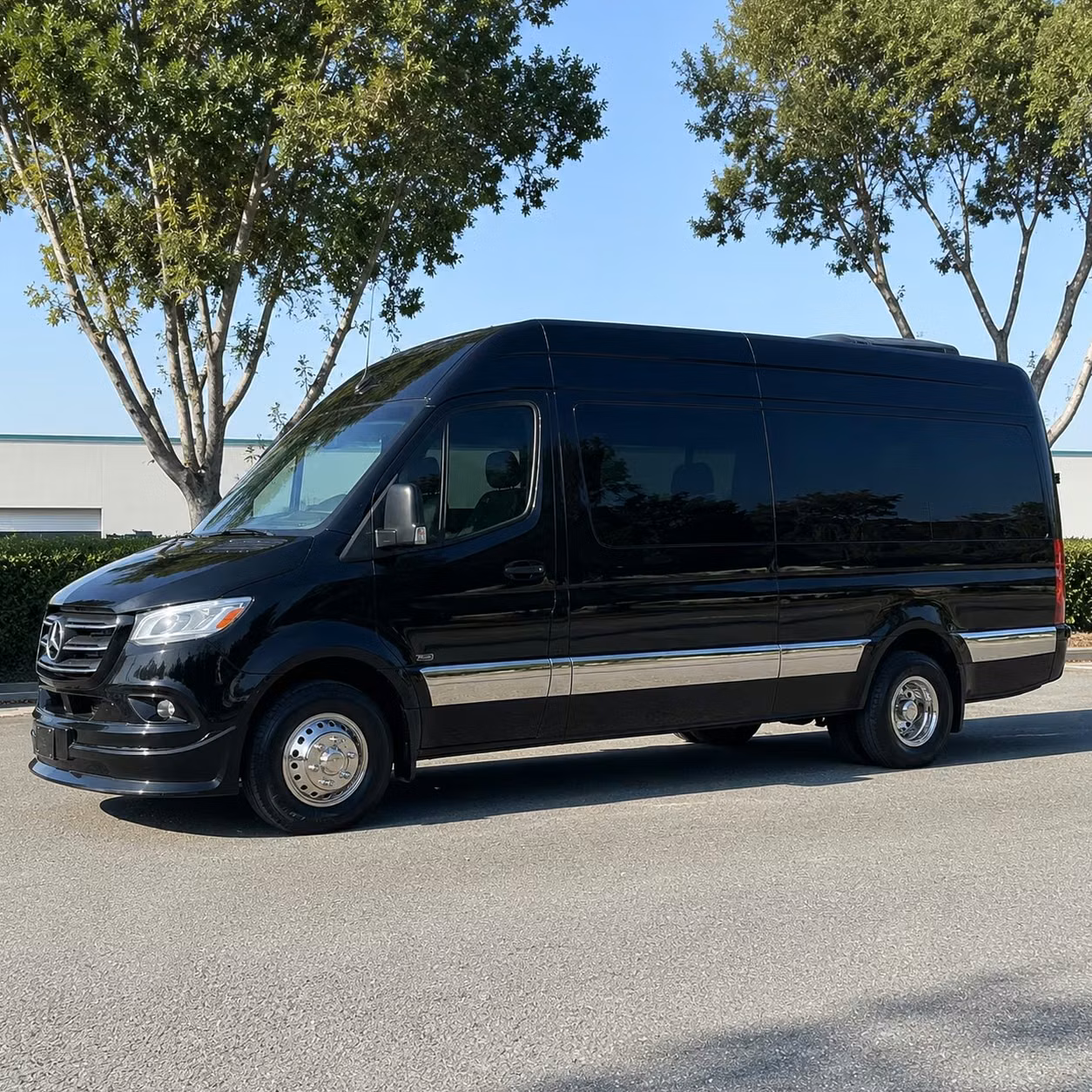 sprinter van with driver